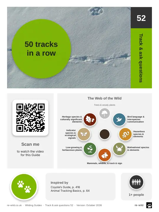 Front of the 50 tracks in a row activity guide