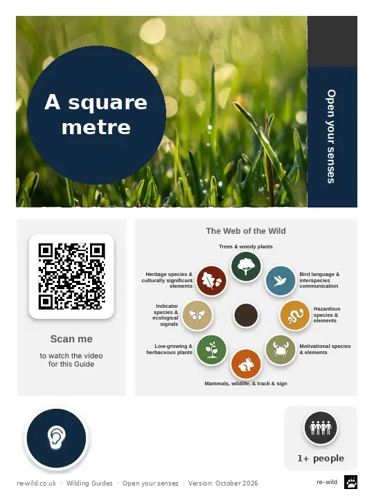Front of the A square metre activity guide