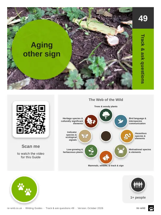 Front of the Aging other sign activity guide