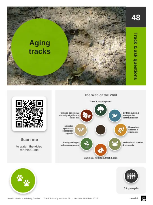 Front of the Aging tracks activity guide