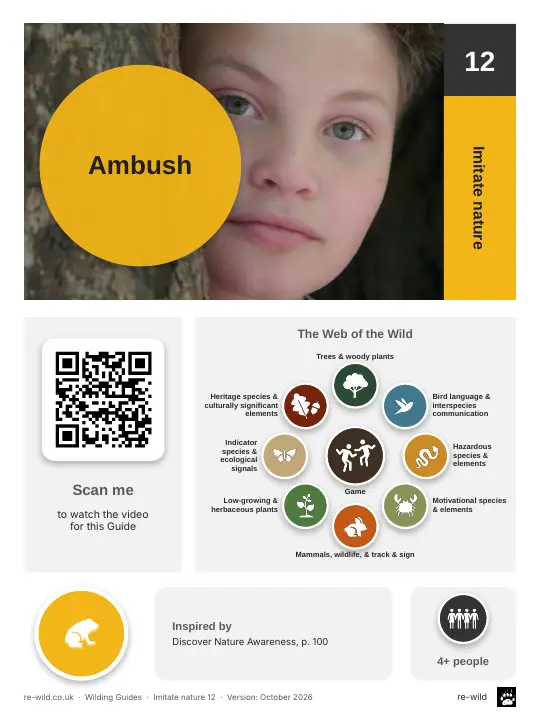 Front of the Ambush activity guide