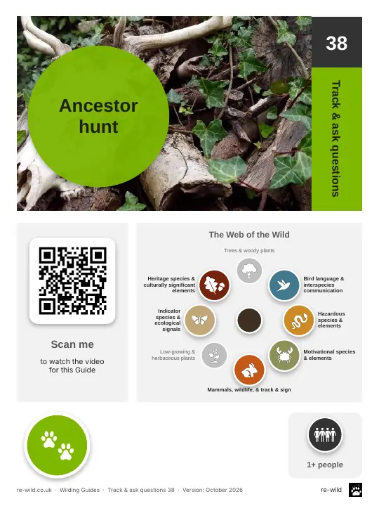 Front of the Ancestor hunt activity guide