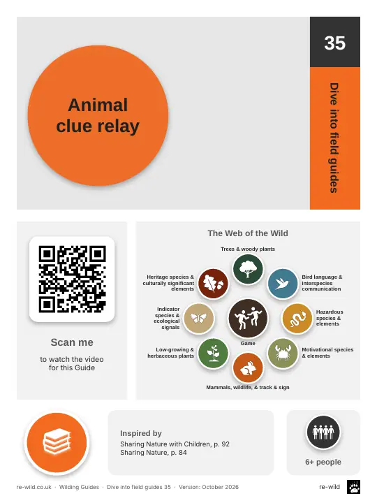 Front of the Animal clue relay activity guide