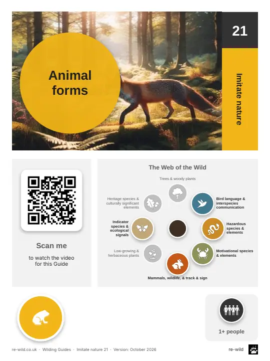 Front of the Animal forms activity guide