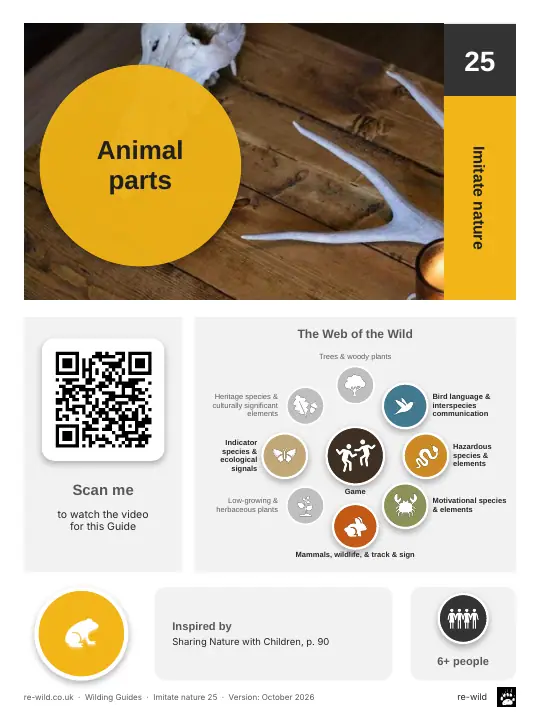 Front of the Animal parts activity guide