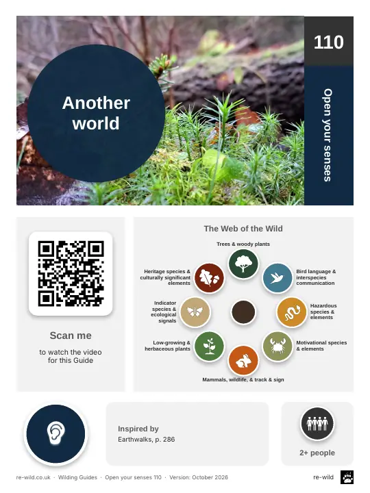 Front of the Another world activity guide
