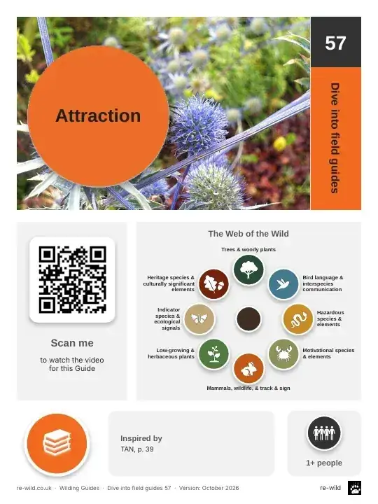 Front of the Attraction activity guide