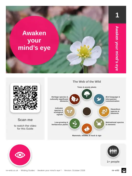 Front of the Awaken your mind’s eye activity guide
