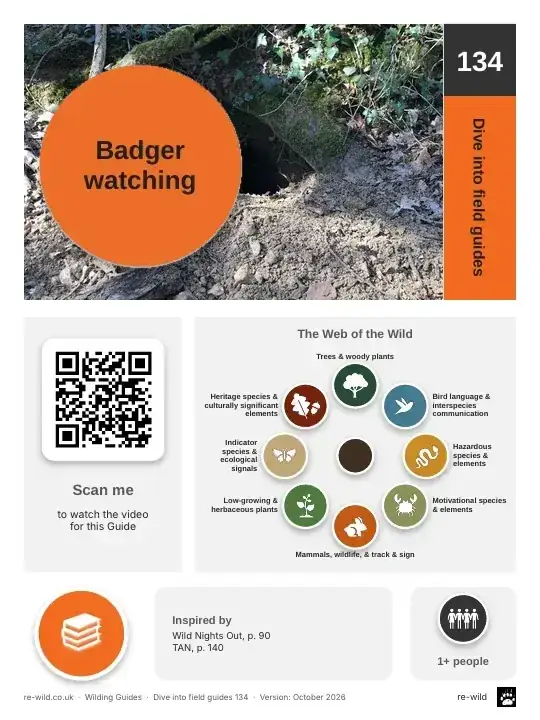 Front of the Badger watching activity guide