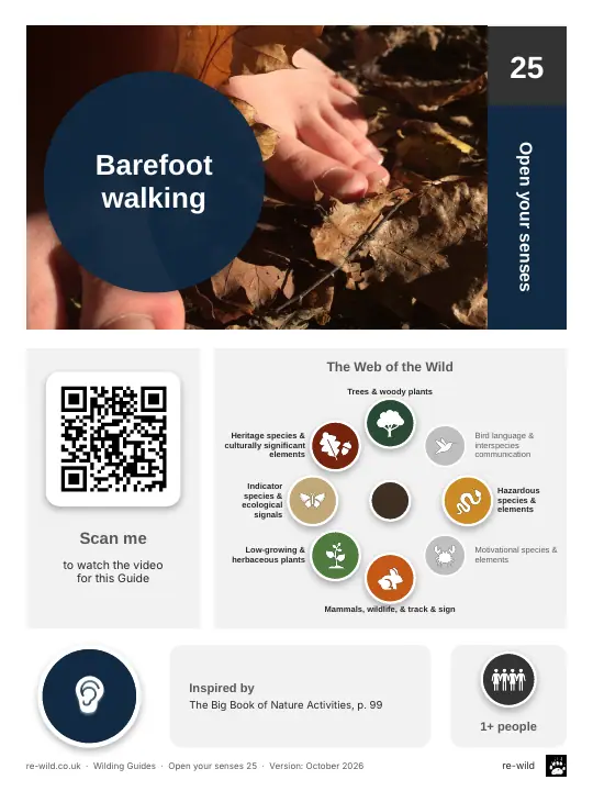 Front of the Barefoot walking activity guide