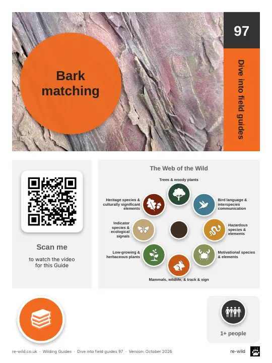 Front of the Bark matching activity guide