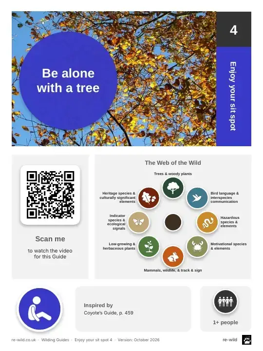 Front of the Be alone with a tree activity guide