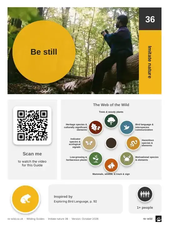 Front of the Be still activity guide