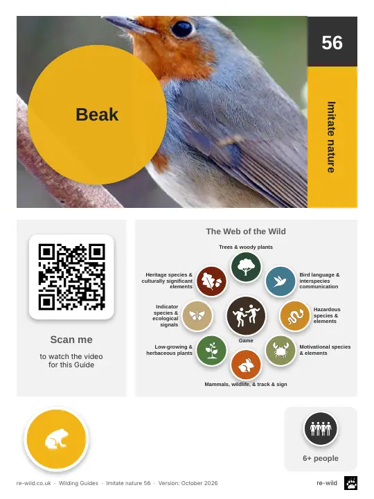 Front of the Beak activity guide