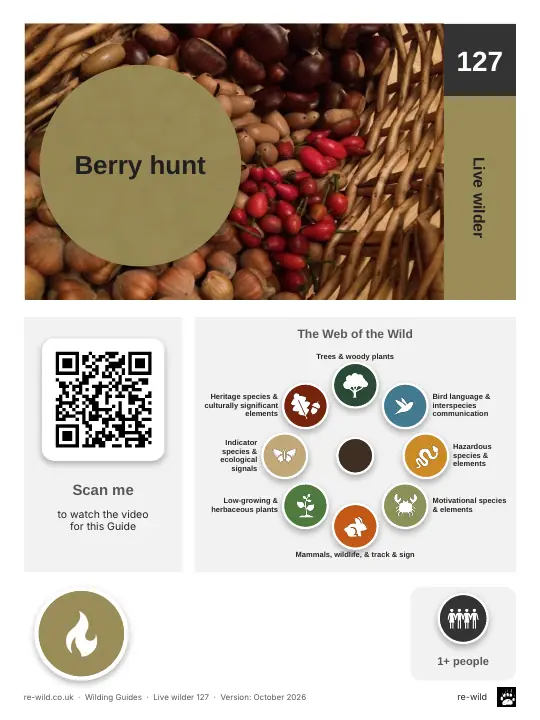 Front of the Berry hunt activity guide
