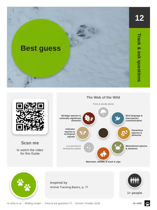Front of the Best guess activity guide