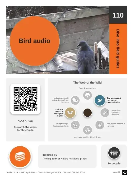 Front of the Bird audio activity guide