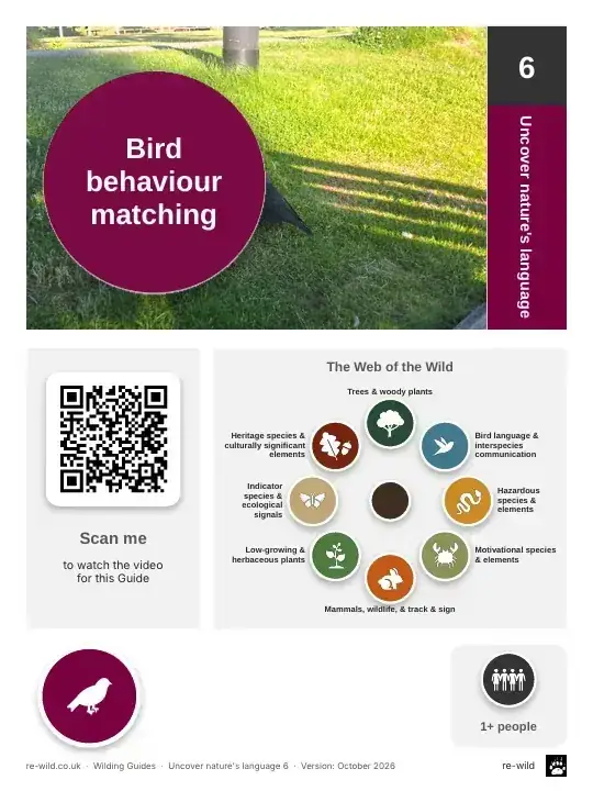 Front of the Bird behaviour matching activity guide