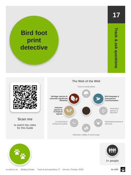 Front of the Bird foot print detective activity guide