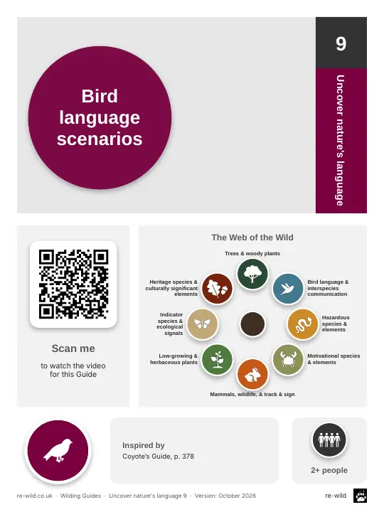 Front of the Bird language scenarios activity guide