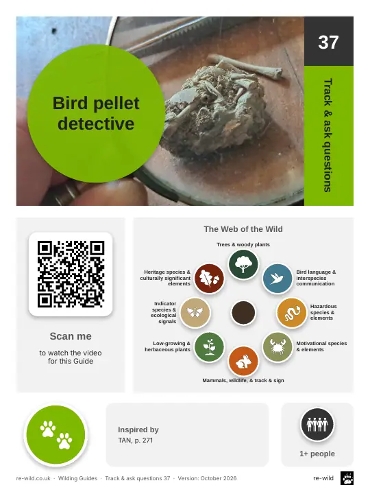 Front of the Bird pellet detective activity guide