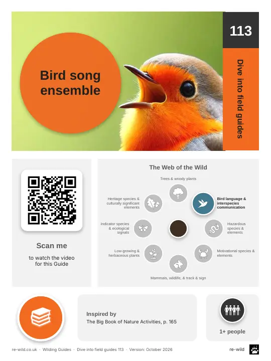 Front of the Bird song ensemble activity guide