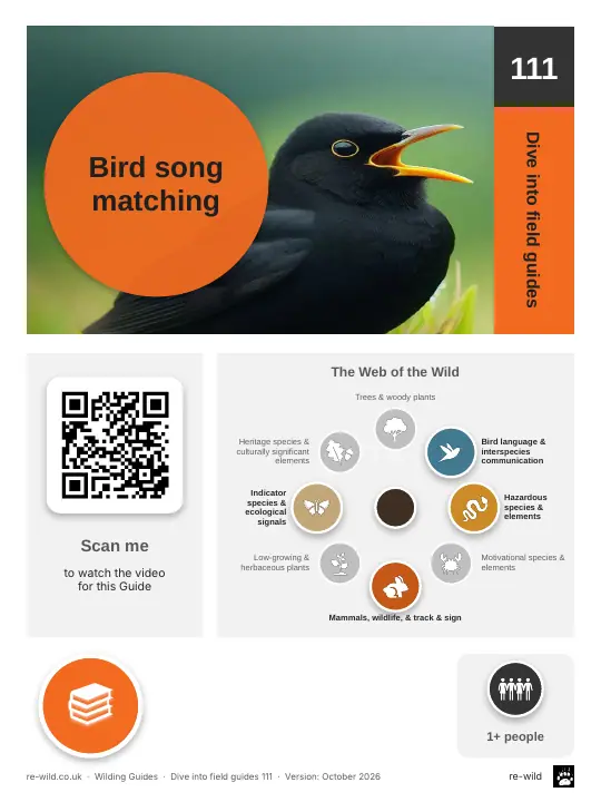 Front of the Bird song matching activity guide