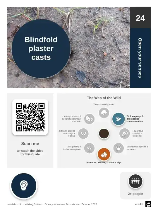 Front of the Blindfold plaster casts activity guide