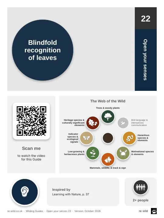 Front of the Blindfold recognition of leaves activity guide