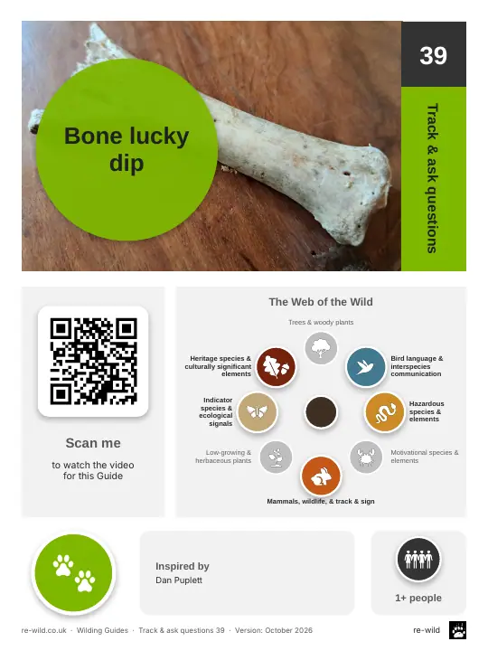 Front of the Bone lucky dip activity guide