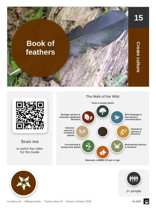Front of the Book of feathers activity guide