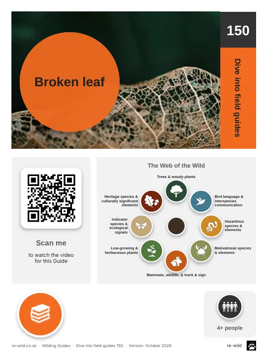 Front of the Broken leaf activity guide