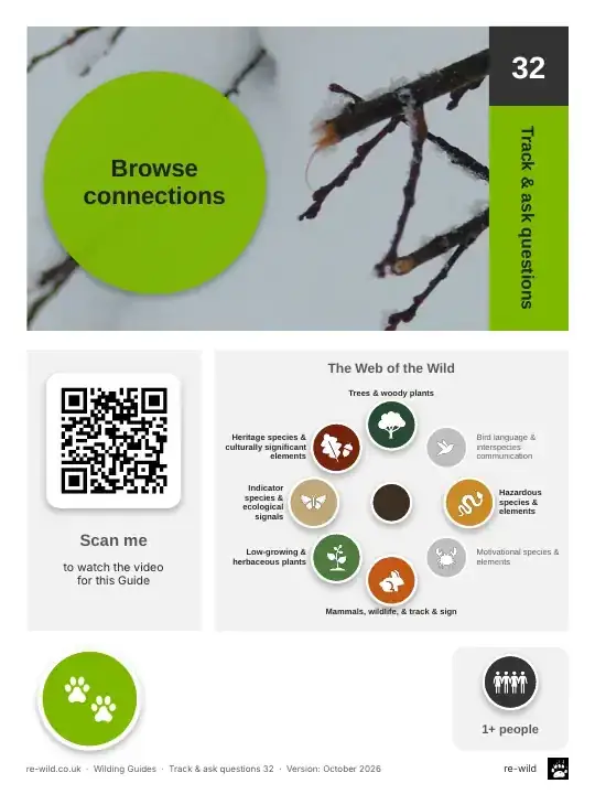 Front of the Browse connections activity guide