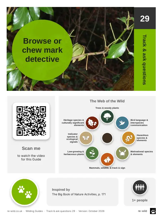 Front of the Browse or chew mark detective activity guide