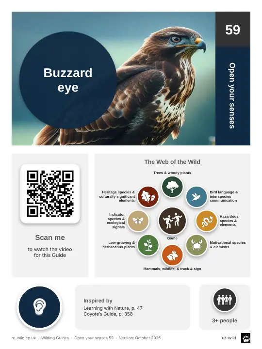 Front of the Buzzard eye activity guide