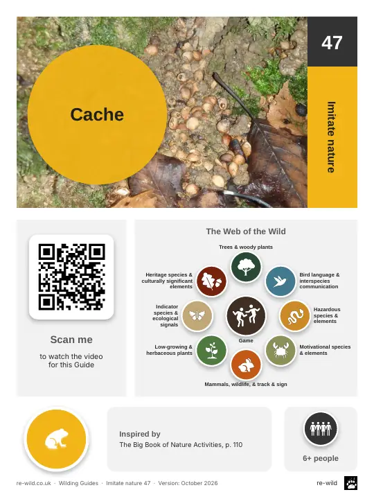 Front of the Cache activity guide