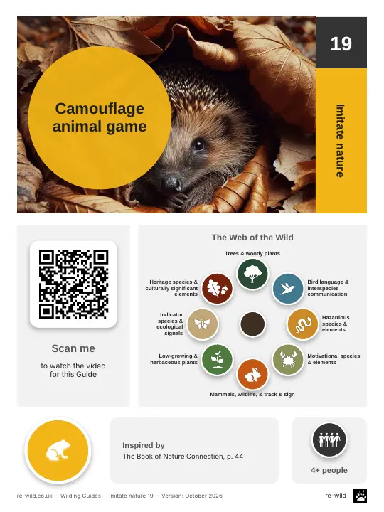 Front of the Camouflage animal game activity guide