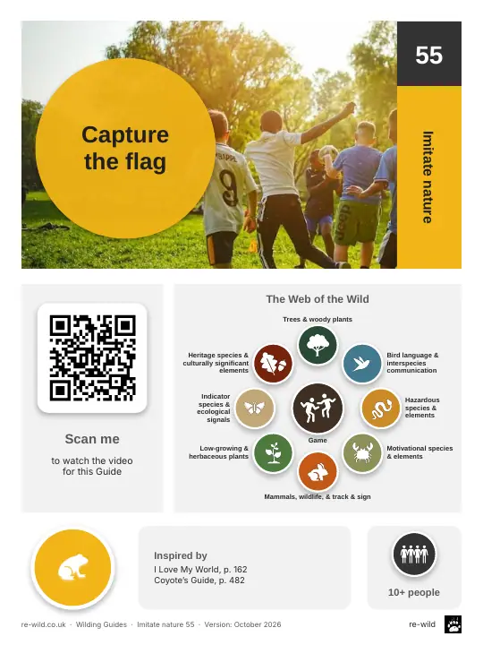 Front of the Capture the flag activity guide