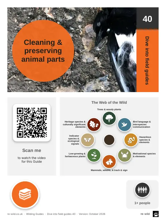 Front of the Cleaning & preserving animal parts activity guide
