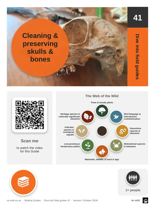 Front of the Cleaning & preserving skulls & bones activity guide