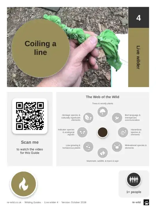 Front of the Coiling a line activity guide