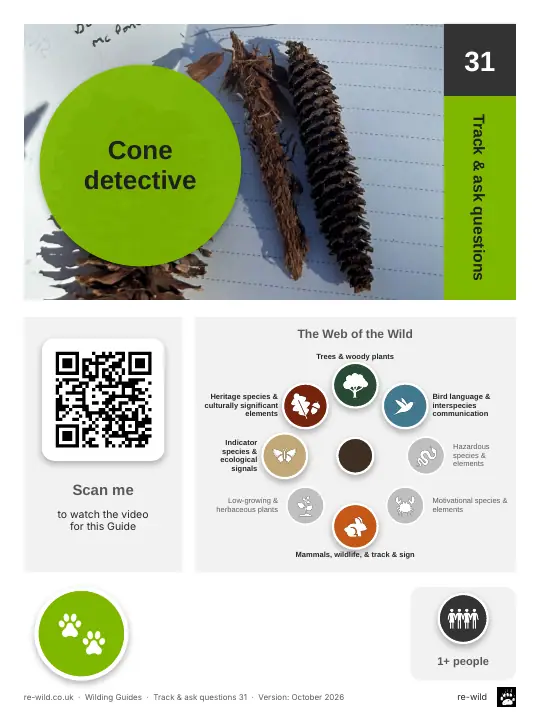 Front of the Cone detective activity guide