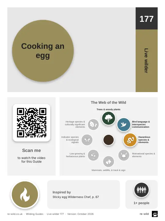 Front of the Cooking an egg activity guide