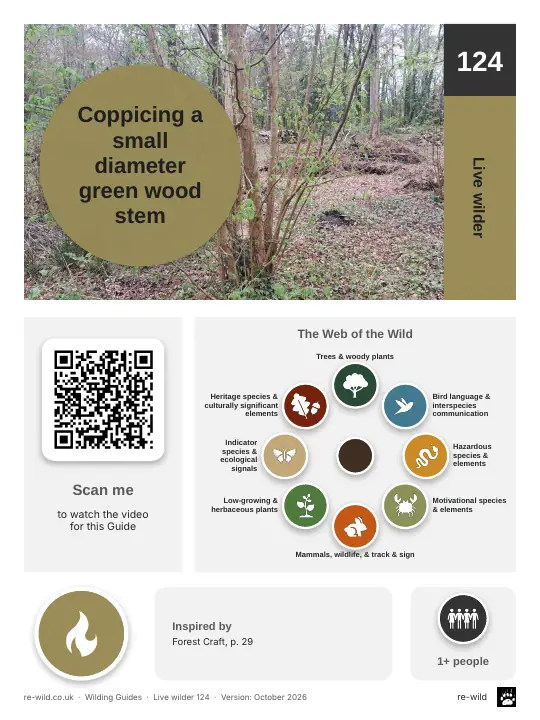 Front of the Coppicing a small diameter green wood stem activity guide