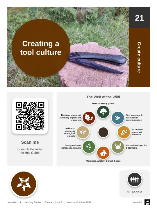 Front of the Creating a tool culture activity guide