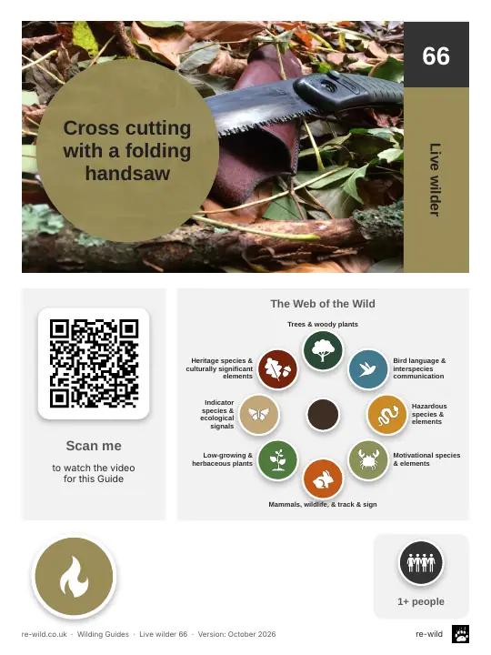 Front of the Cross cutting with a folding handsaw activity guide