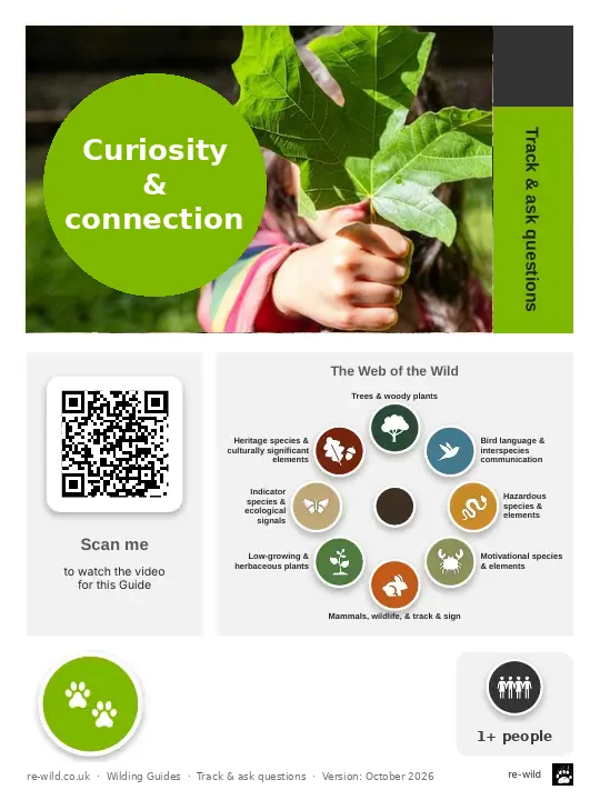 Front of the Curiosity & connection activity guide