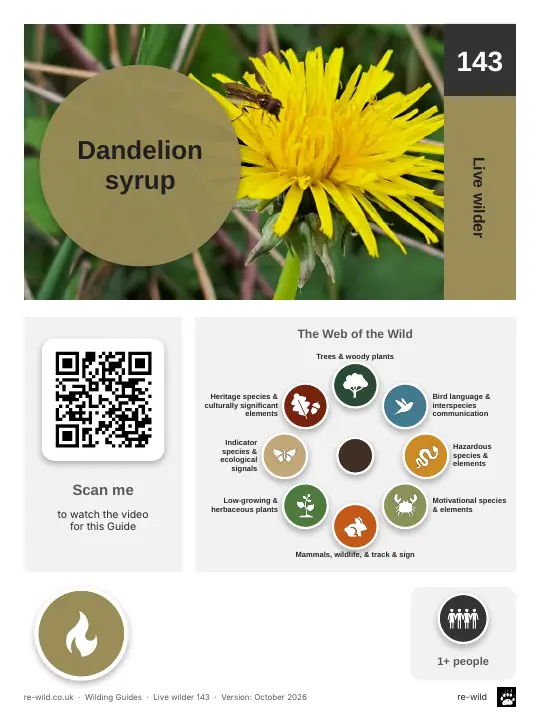 Front of the Dandelion syrup activity guide