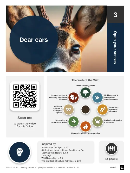 Front of the Dear ears activity guide