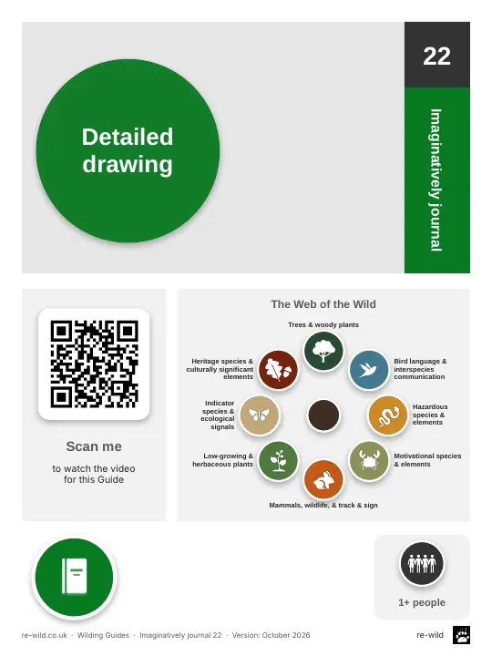 Front of the Detailed drawing activity guide